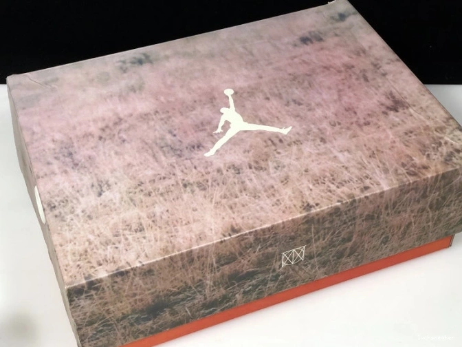 Reps LUCY 3 JTH AV6683-200 Jordan Bio Beige Air 0822